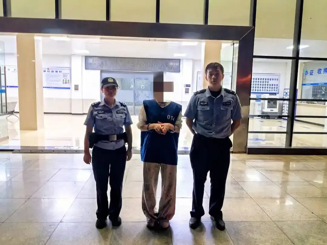 原文相关图片3